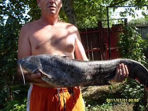 pescuit la dunare - sdc10446.JPG